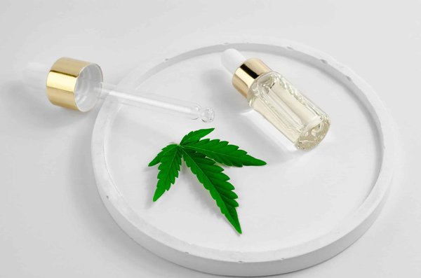 Fleur naturelle : quelles sont ses différentes utilisations ?